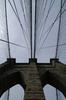 Brooklyn Bridge Lines
