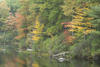 Fall Foliage in Otis, MA (2007)