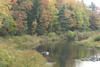 Fall Foliage in Otis, MA (2007)