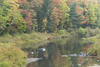 Fall Foliage in Otis, MA (2007)
