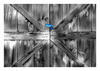 Blue, Barn Doors