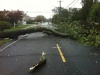 Hurricane Irene 2011