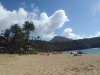 Day 03 (Hanauma Bay, Dole, Aulani)