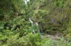 Roadside Waterfall on Maui