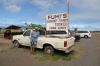 Fumi's Shrimp Truck