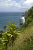 The Road to Hana