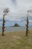 Wedding Setup at Chinaman's Hat