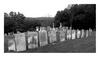 Cemetary: September, 2005