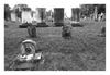 Cemetary: September, 2005