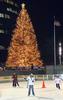 Ice Skating at Reckson Plaza