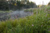 The Farmington River on a misty, chilly mid-August Morning