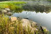 The Farmington River on a misty, chilly mid-August Morning