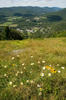 Mountain Views at Jiminy Peak