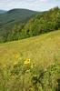 Mountain Views at Jiminy Peak