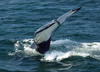 Whale Watching in Provincetown, MA