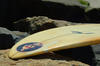 Surf Board