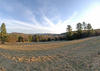 180 degree view facing South